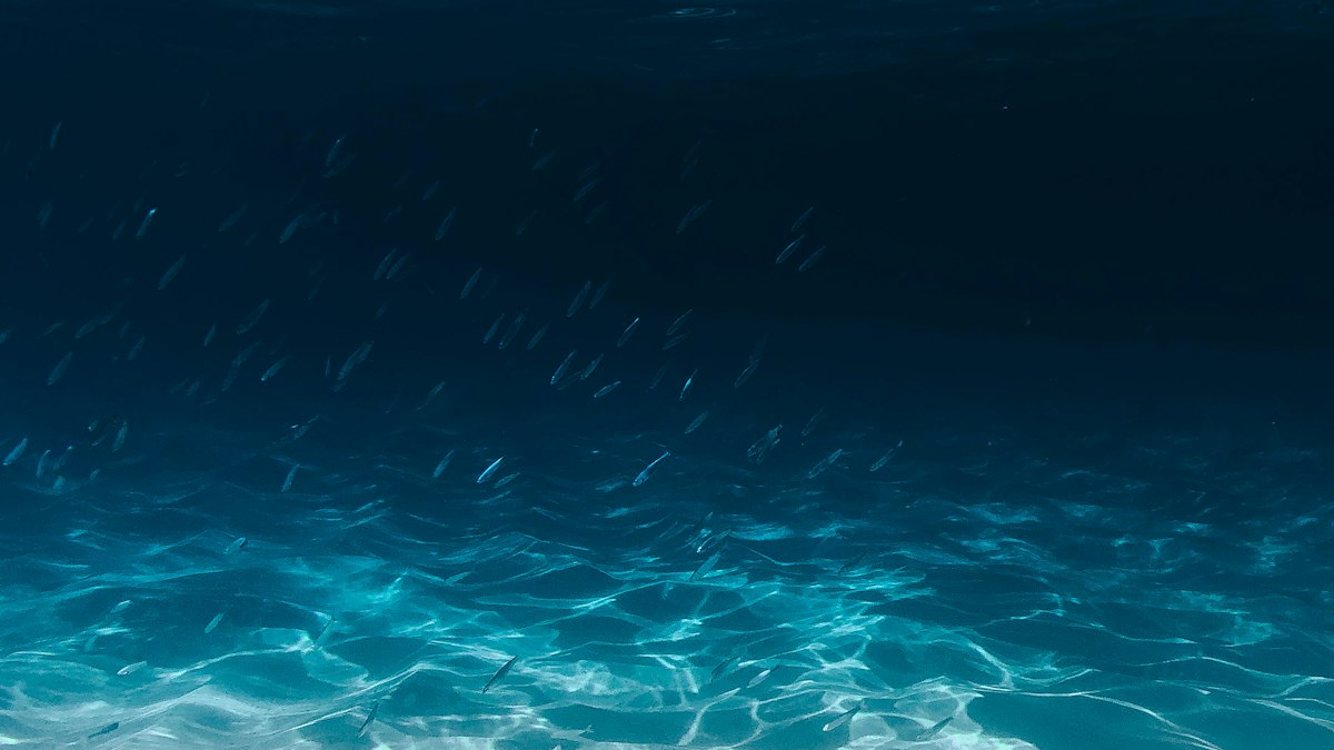 Капли воды на коже после холодного душа, кожа покрасневшая, контрастные тени